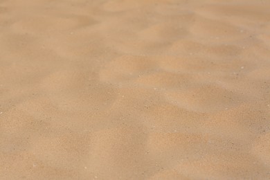 Photo of Texture of sandy beach as background, closeup