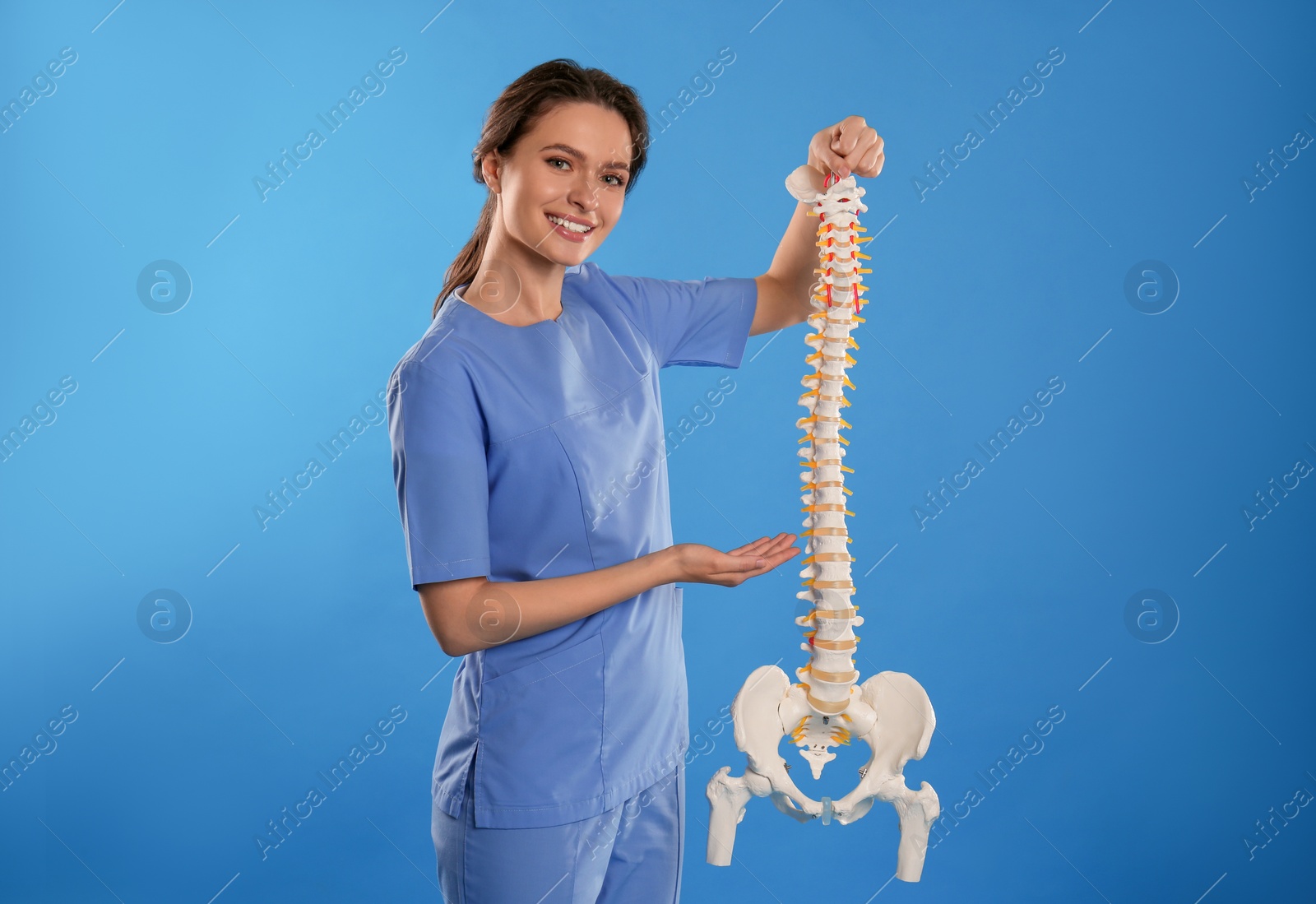 Photo of Female orthopedist with human spine model against blue background