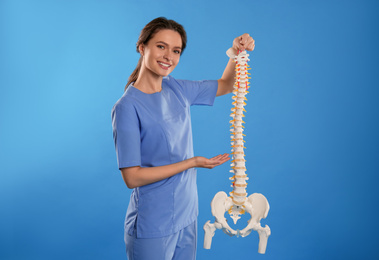 Female orthopedist with human spine model against blue background
