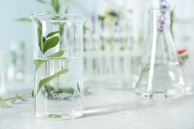 Photo of Beaker with plant on table in laboratory. Space for text