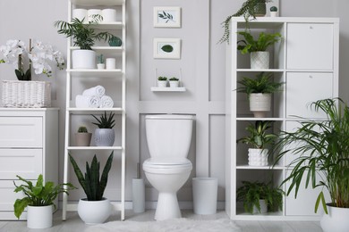 Photo of Stylish bathroom interior with toilet bowl and many beautiful houseplants