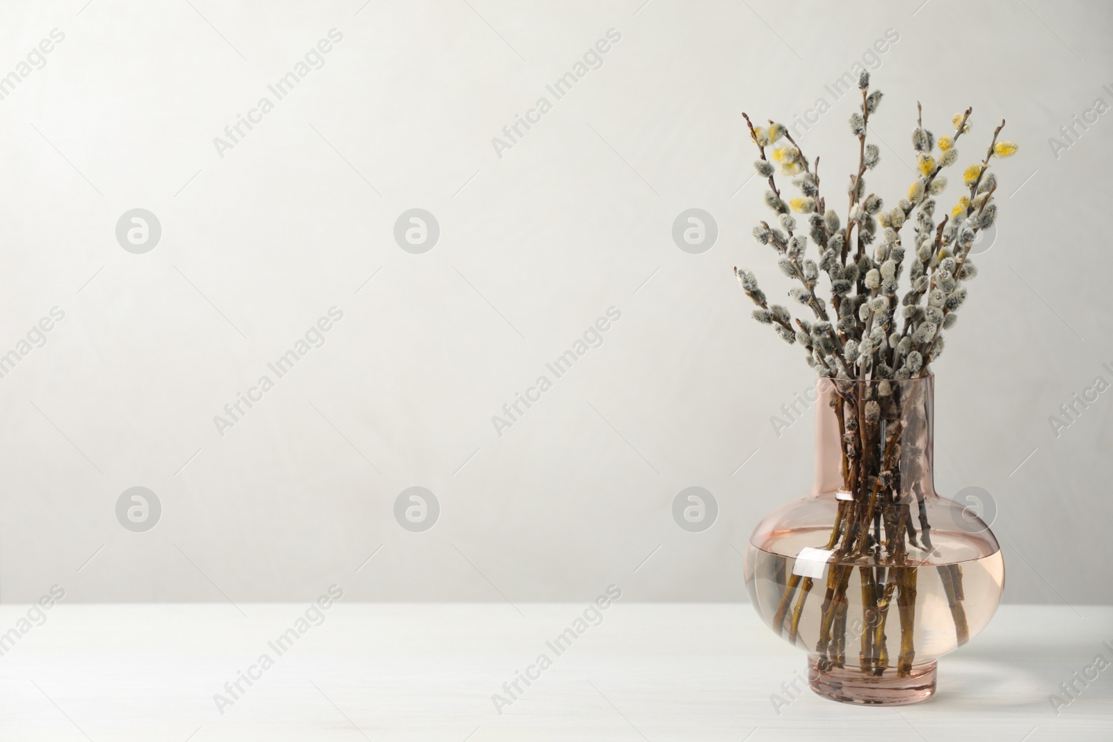 Photo of Beautiful pussy willow branches in vase on white table, space for text