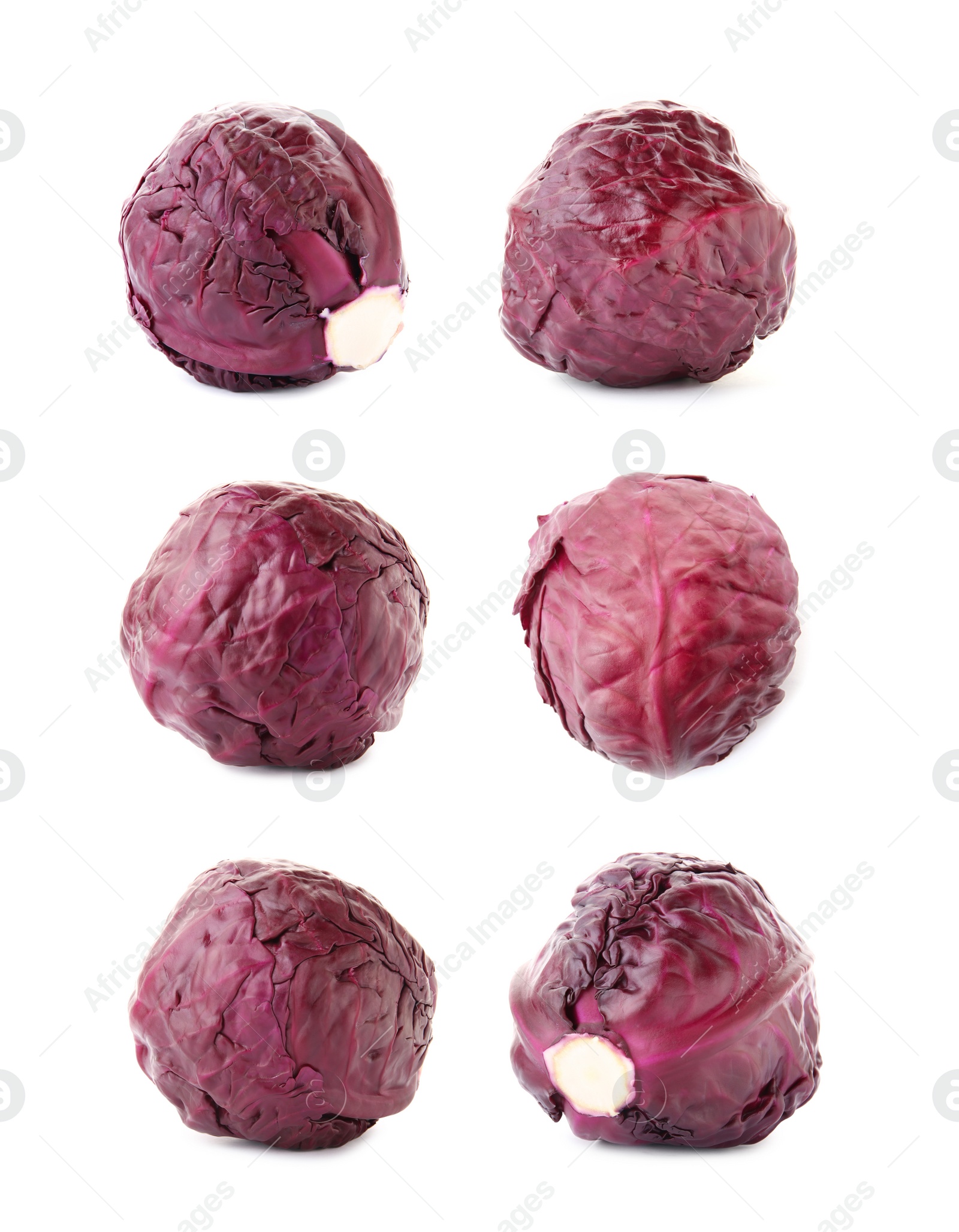 Image of Set of ripe red cabbages isolated on white