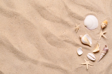 Photo of Beautiful seashells and starfishes on beach sand, flat lay with space for text. Summer vacation