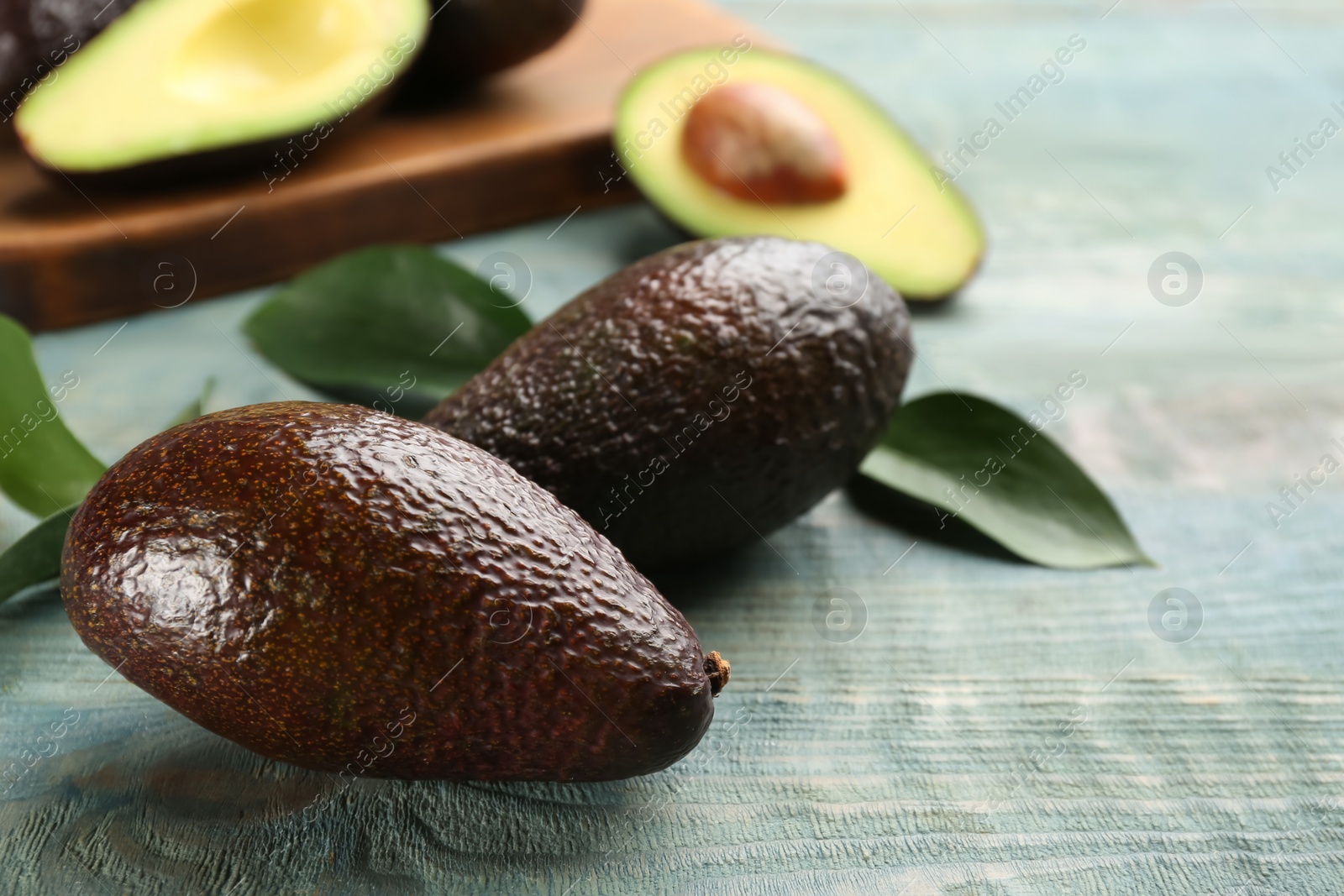 Photo of Ripe hass avocadoes on light blue wooden table, closeup