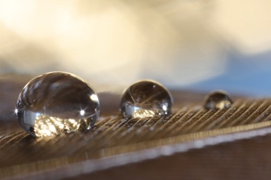 Macro photo of water drops on brown feather against blurred background