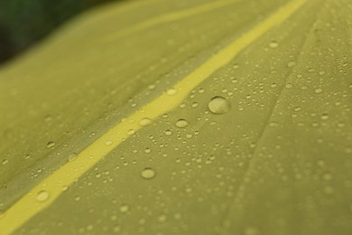 Photo of Closeup view of yellow umbrella with rain droplets