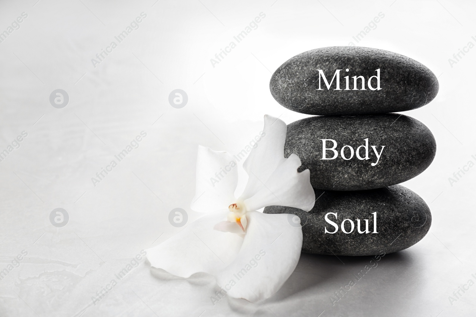 Photo of Stones with words MIND, BODY, SOUL and orchid flower on light background. Zen lifestyle