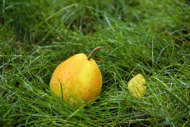 Photo of Ripe pear on green grass in garden, closeup