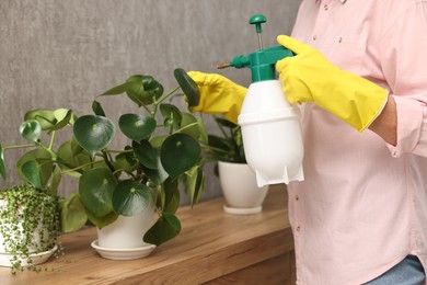 Photo of Housewife spraying green houseplants at home, closeup