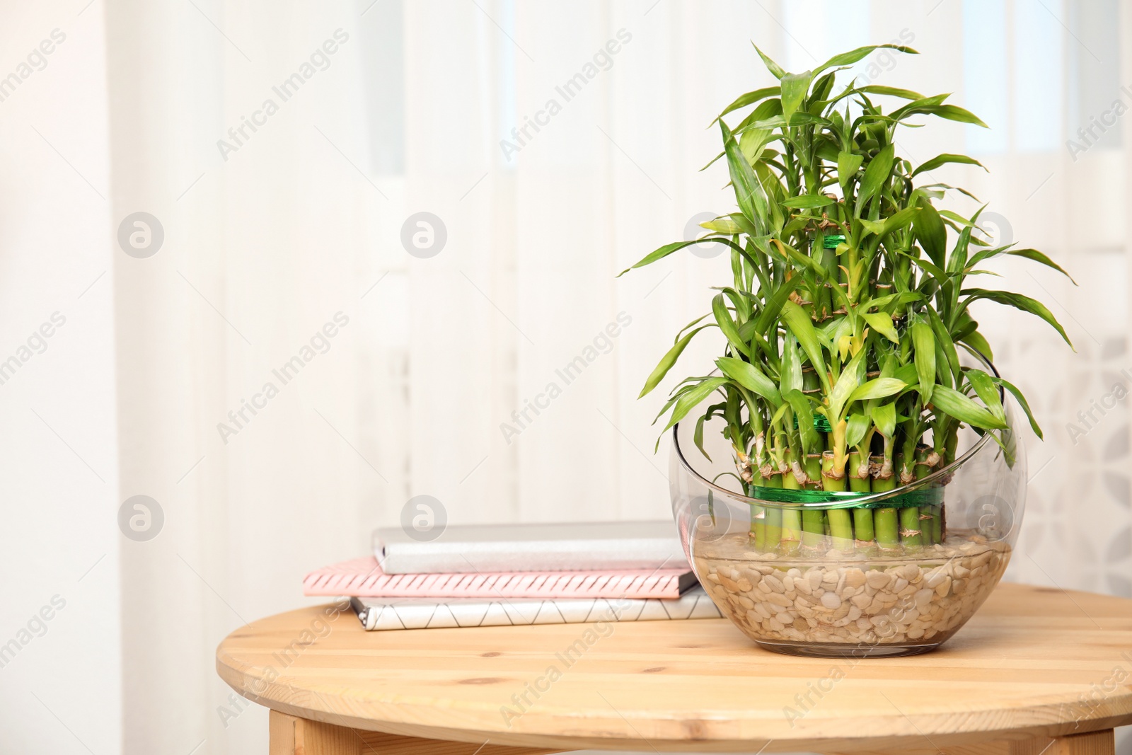 Photo of Green bamboo in glass bowl on wooden table. Space for text