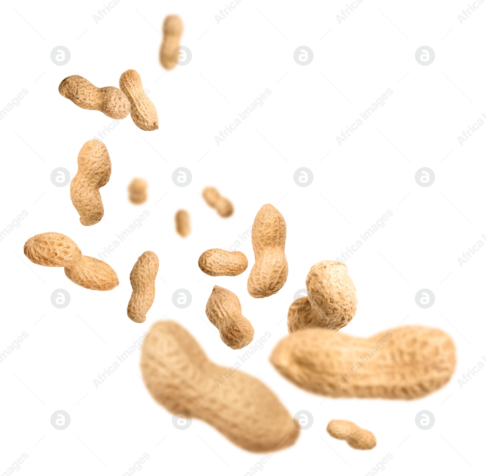 Image of Unpeeled peanuts in air on white background