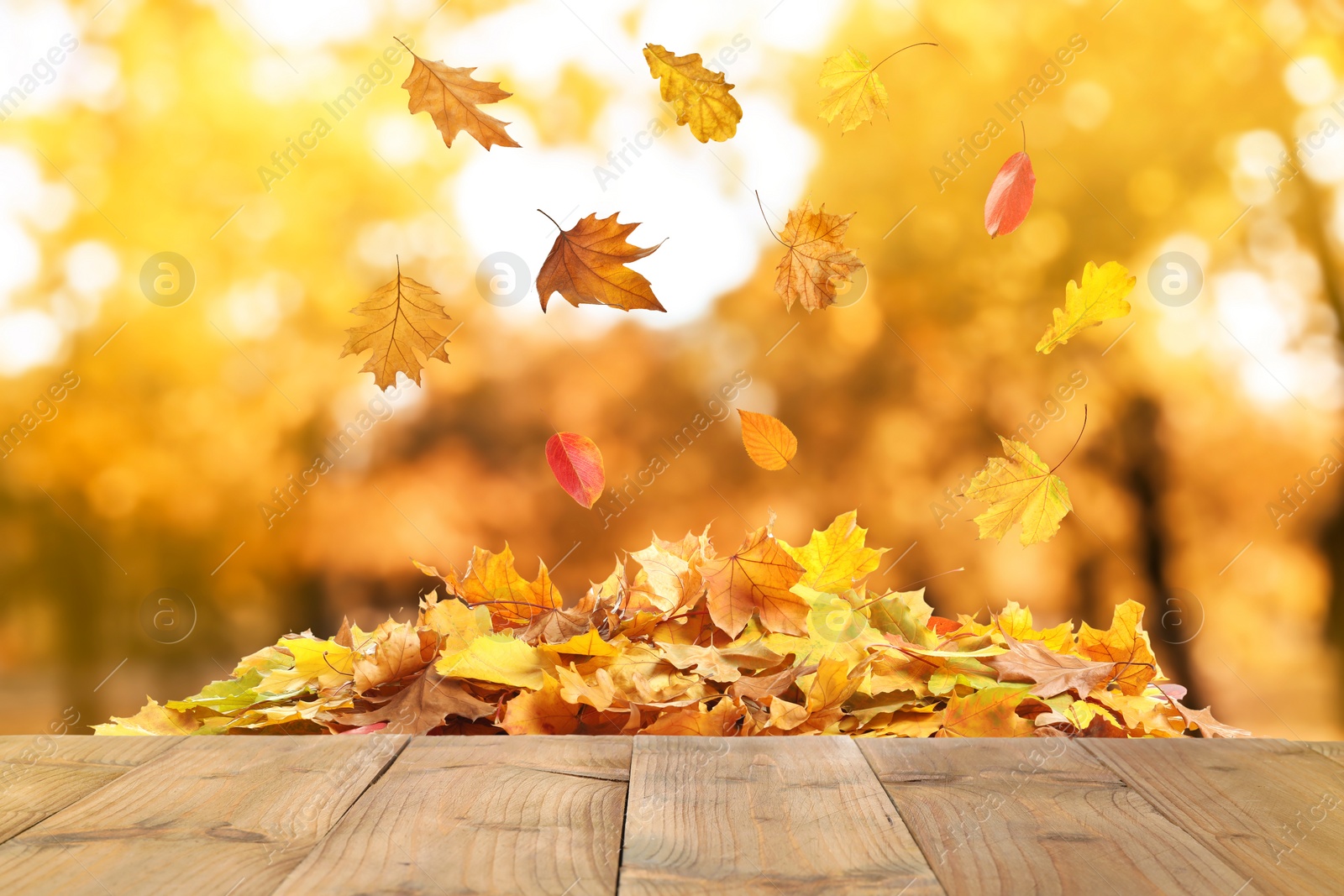 Image of Wooden surface and falling autumn leaves outdoors 