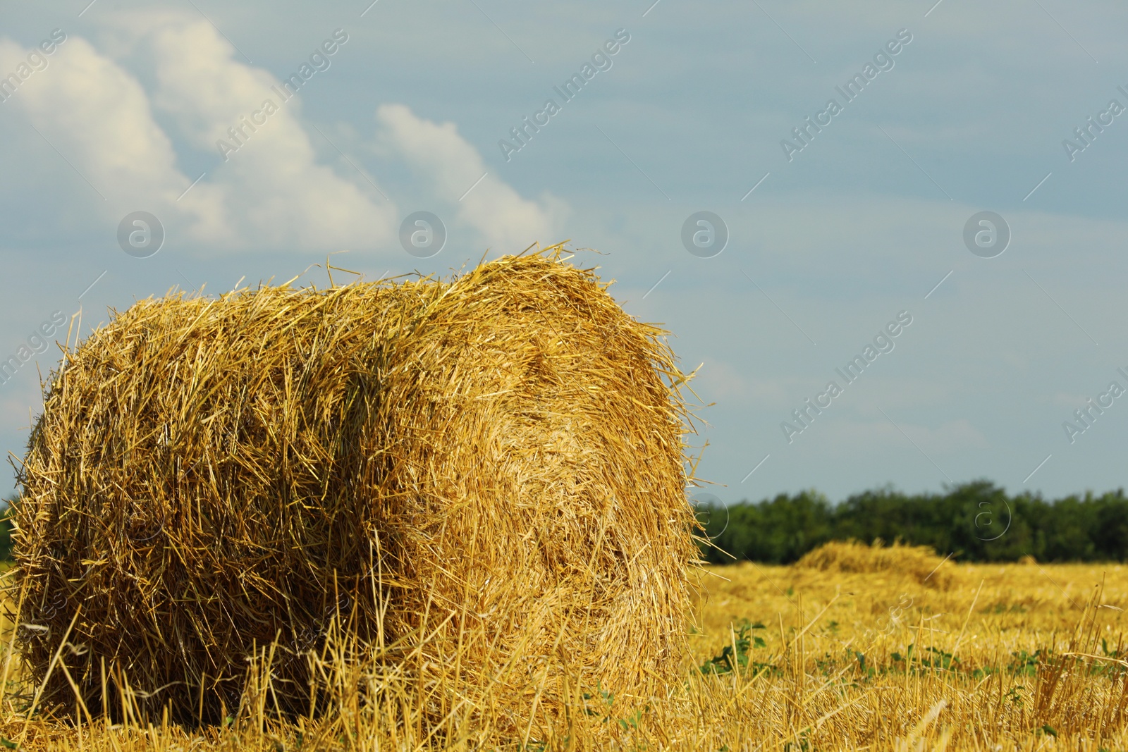 Photo of Beautiful view of agricultural field with hay bale