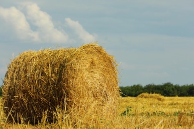 Photo of Beautiful view of agricultural field with hay bale