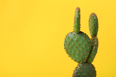 Photo of Beautiful Opuntia cactus on yellow background, closeup. Space for text