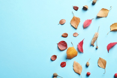 Flat lay composition with autumn leaves and space for text on color background