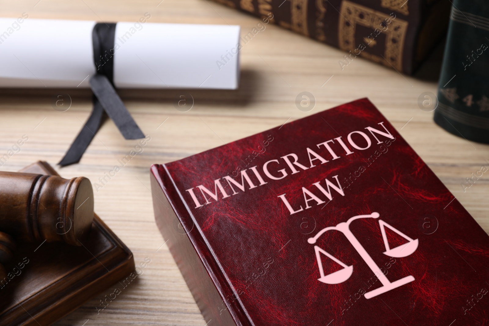 Image of Immigration law book and gavel on wooden table
