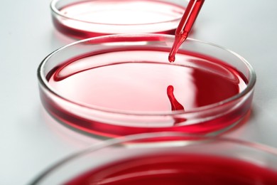 Photo of Dripping red liquid into Petri dish on white background, closeup