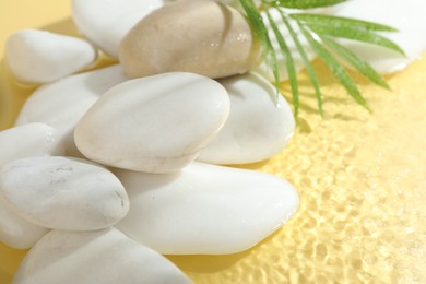 Photo of Spa stones in water on yellow background, closeup