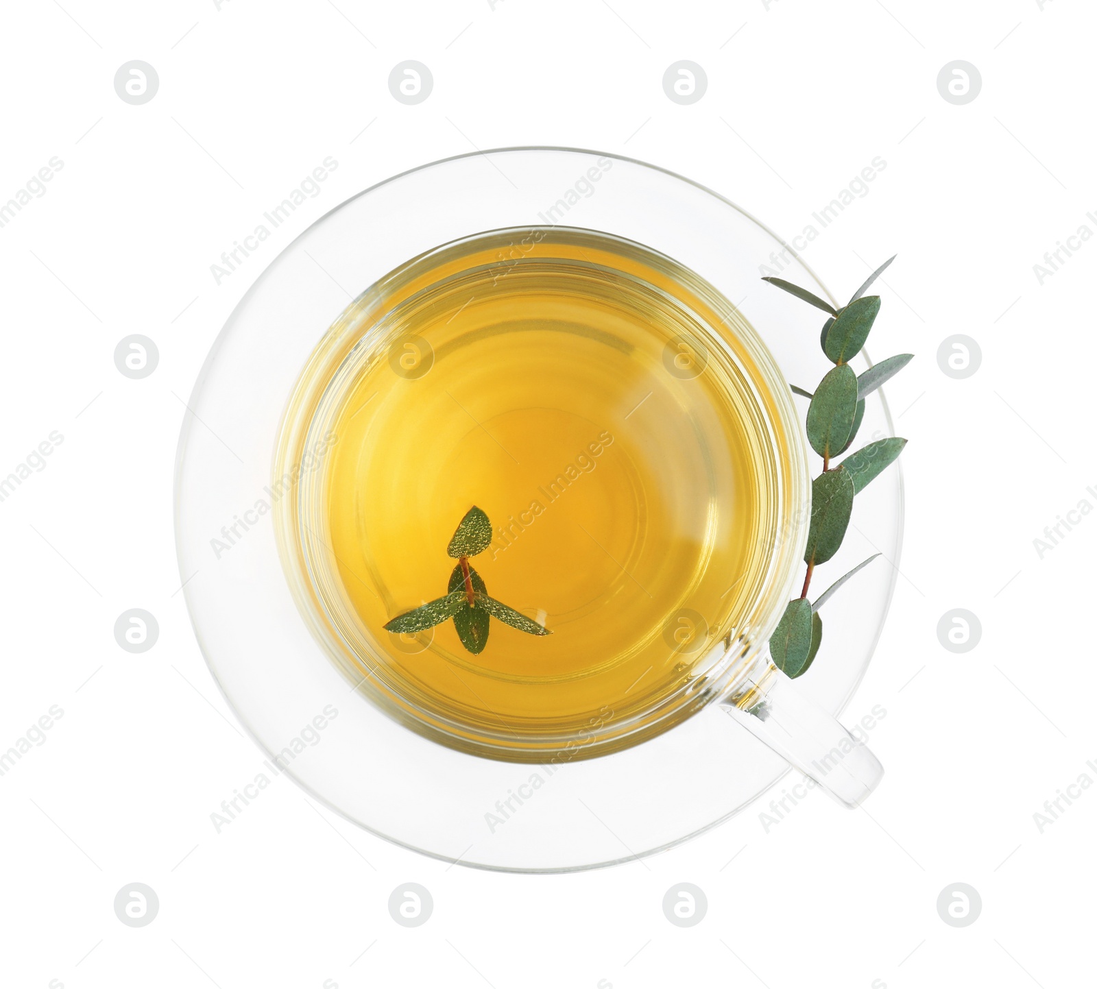 Photo of Cup of green tea with eucalyptus leaves on white background, top view