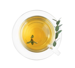 Photo of Cup of green tea with eucalyptus leaves on white background, top view