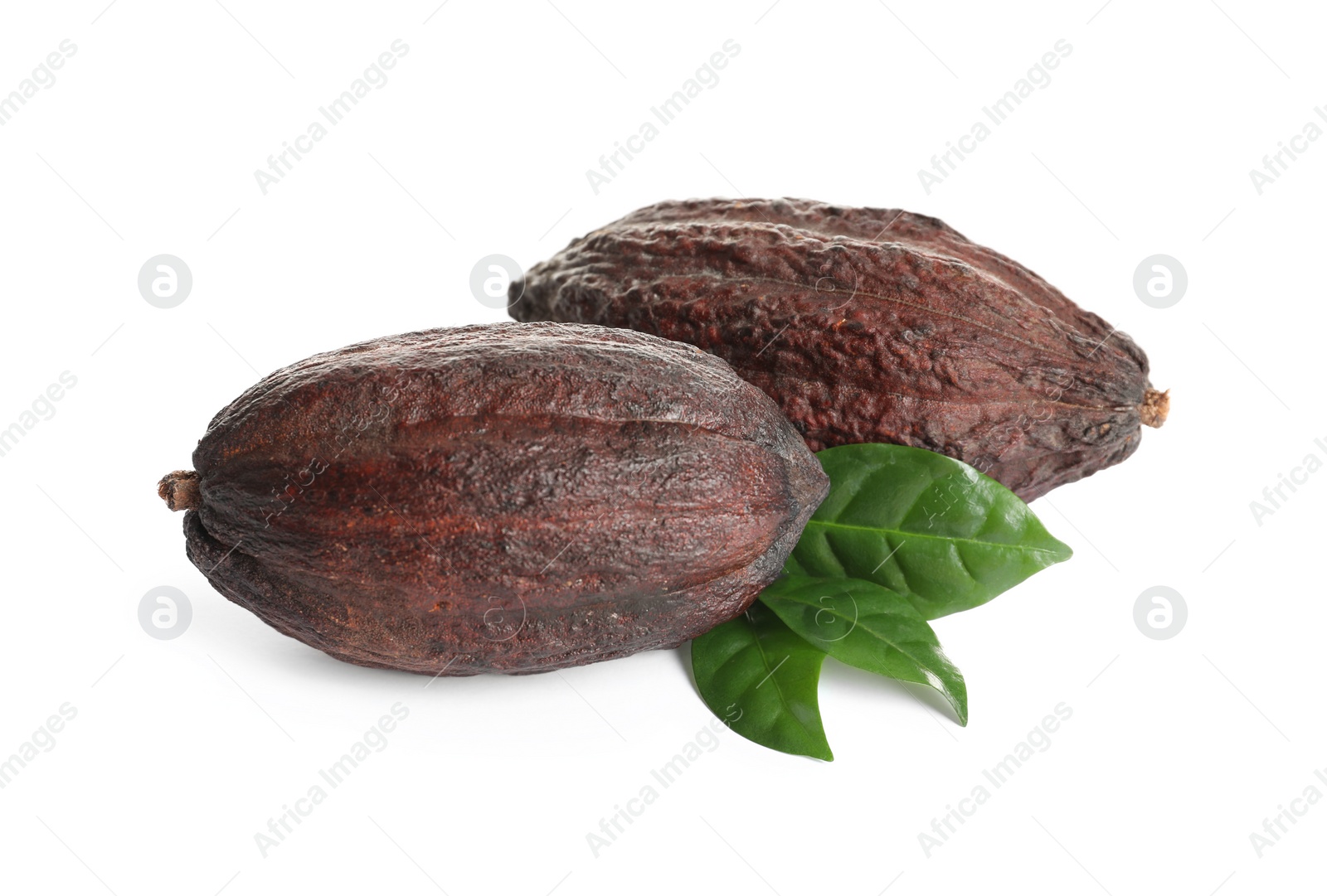 Photo of Cocoa pods and leaves on white background