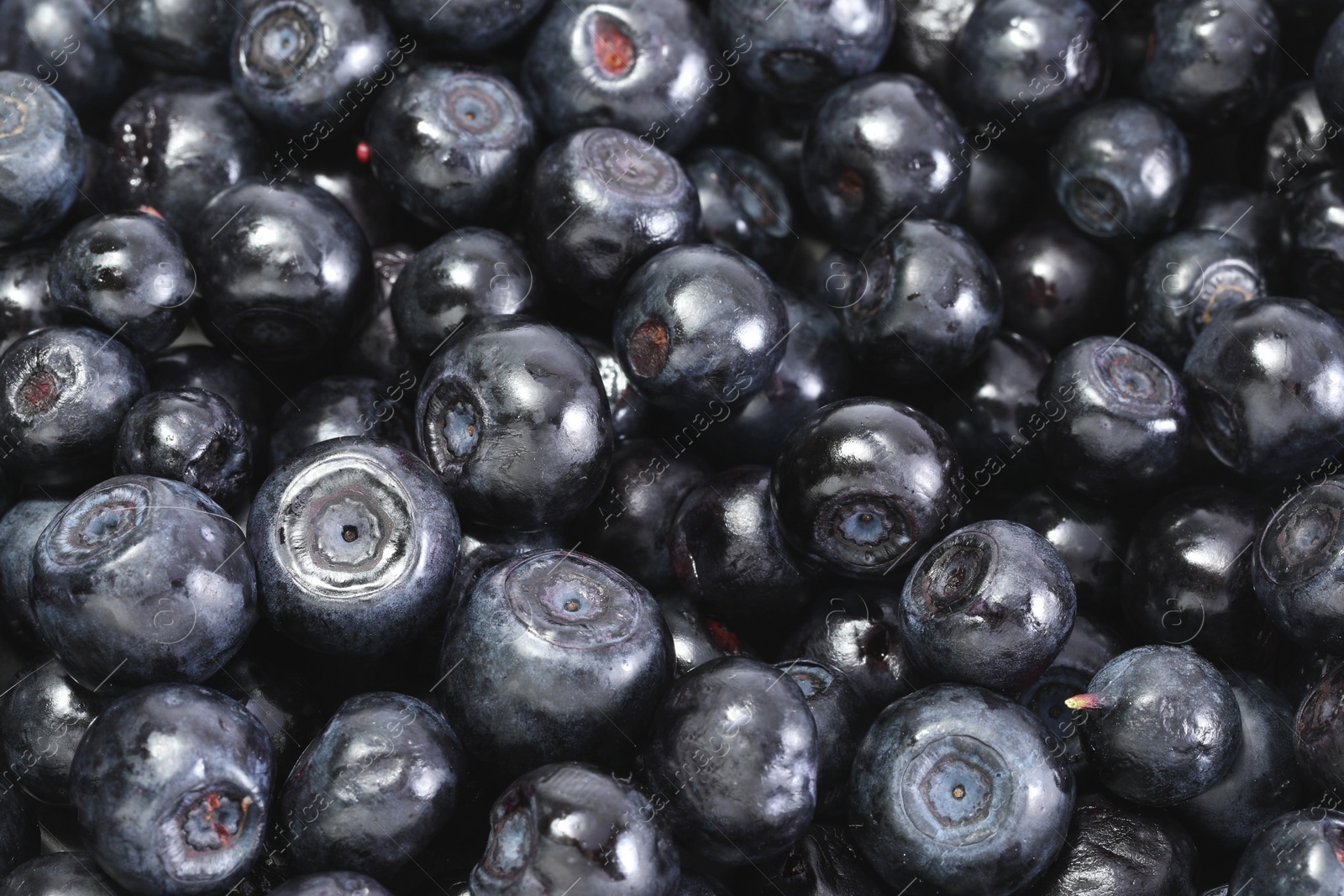 Photo of Many fresh bilberries as background, closeup view