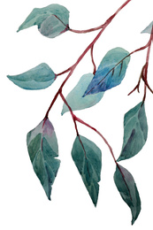 Photo of Beautiful watercolor tropical leaves painted on white paper, top view