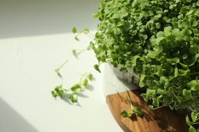 Photo of Fresh daikon radish microgreen growing in plastic container on white table, space for text