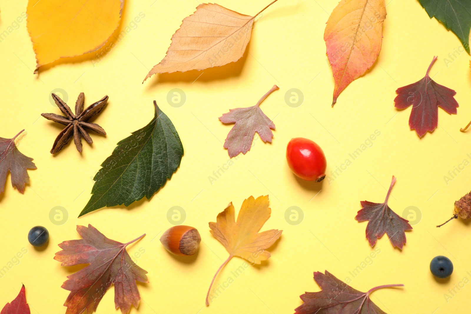 Photo of Beautiful composition with autumn leaves on yellow background, flat lay