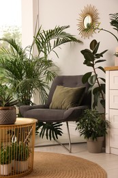 Photo of Lounge area interior with comfortable armchair and houseplants