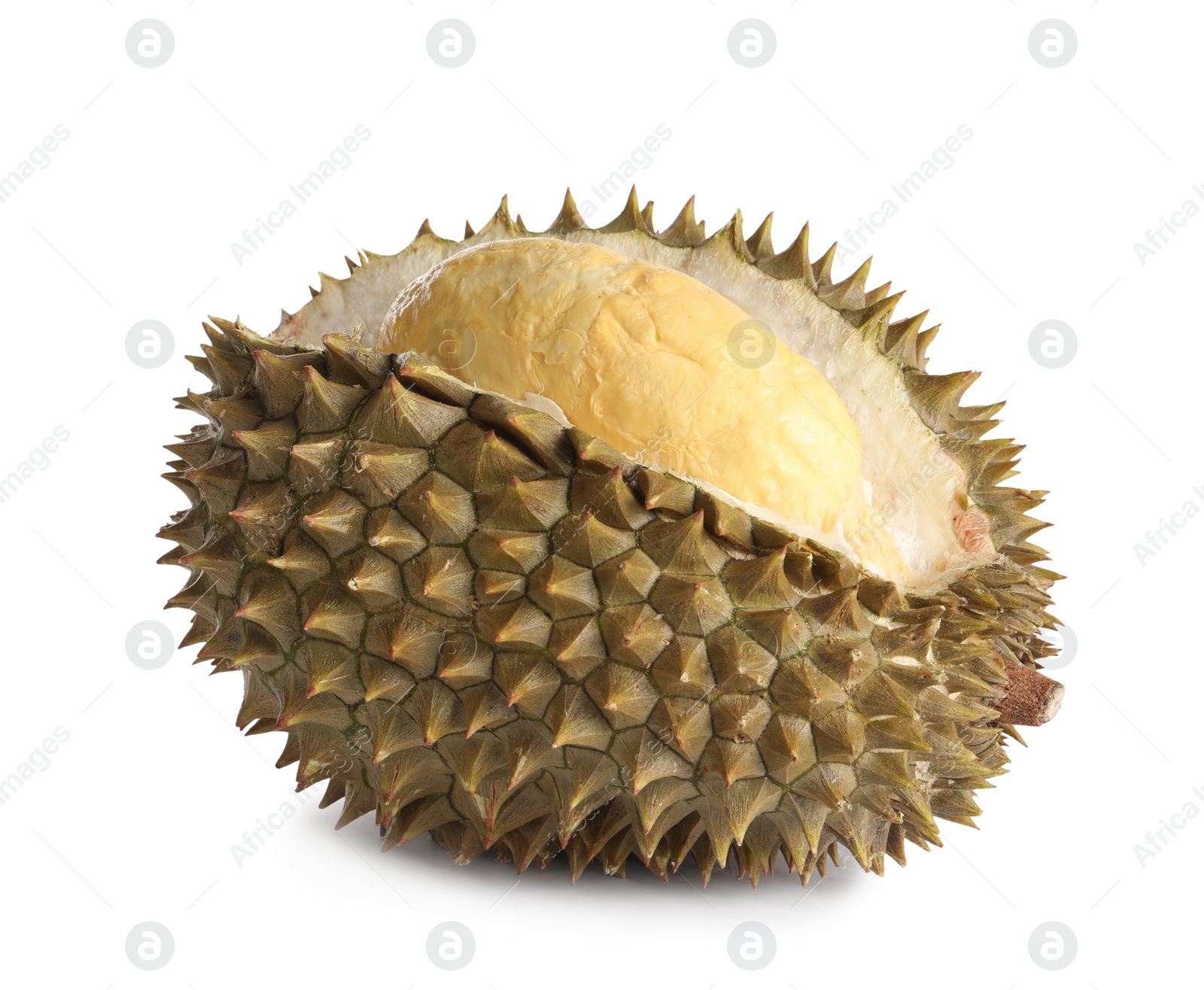 Photo of Fresh ripe durian isolated on white. Tropical fruit