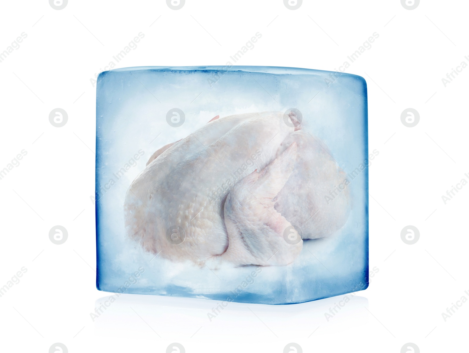 Image of Frozen food. Raw whole turkey in ice cube isolated on white