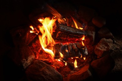 Photo of Beautiful campfire with burning firewood outdoors at night, closeup