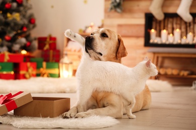 Photo of Adorable dog and cat together at room decorated for Christmas. Cute pets