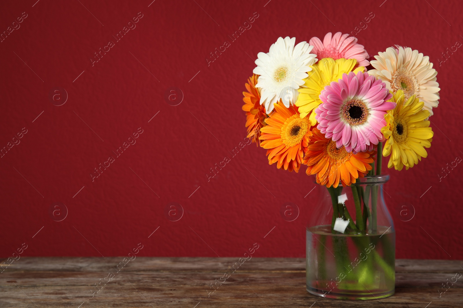 Photo of Bouquet of beautiful bright gerbera flowers in vase on wooden table against color background. Space for text