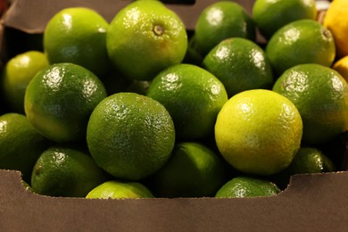 Photo of Many fresh green limes on container at market, closeup