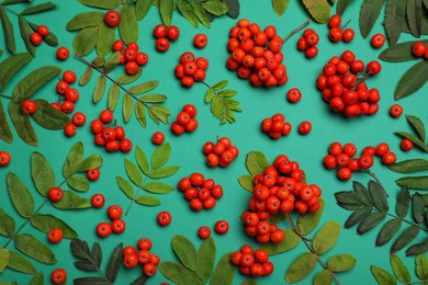 Fresh ripe rowan berries and leaves on green background, flat lay