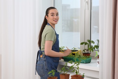 Photo of Happy woman planting seedlings into plastic container near window indoors