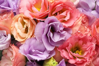 Beautiful fresh Eustoma flowers as background, closeup view