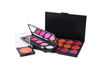Colorful lip palettes with brush isolated on white. Professional cosmetic product