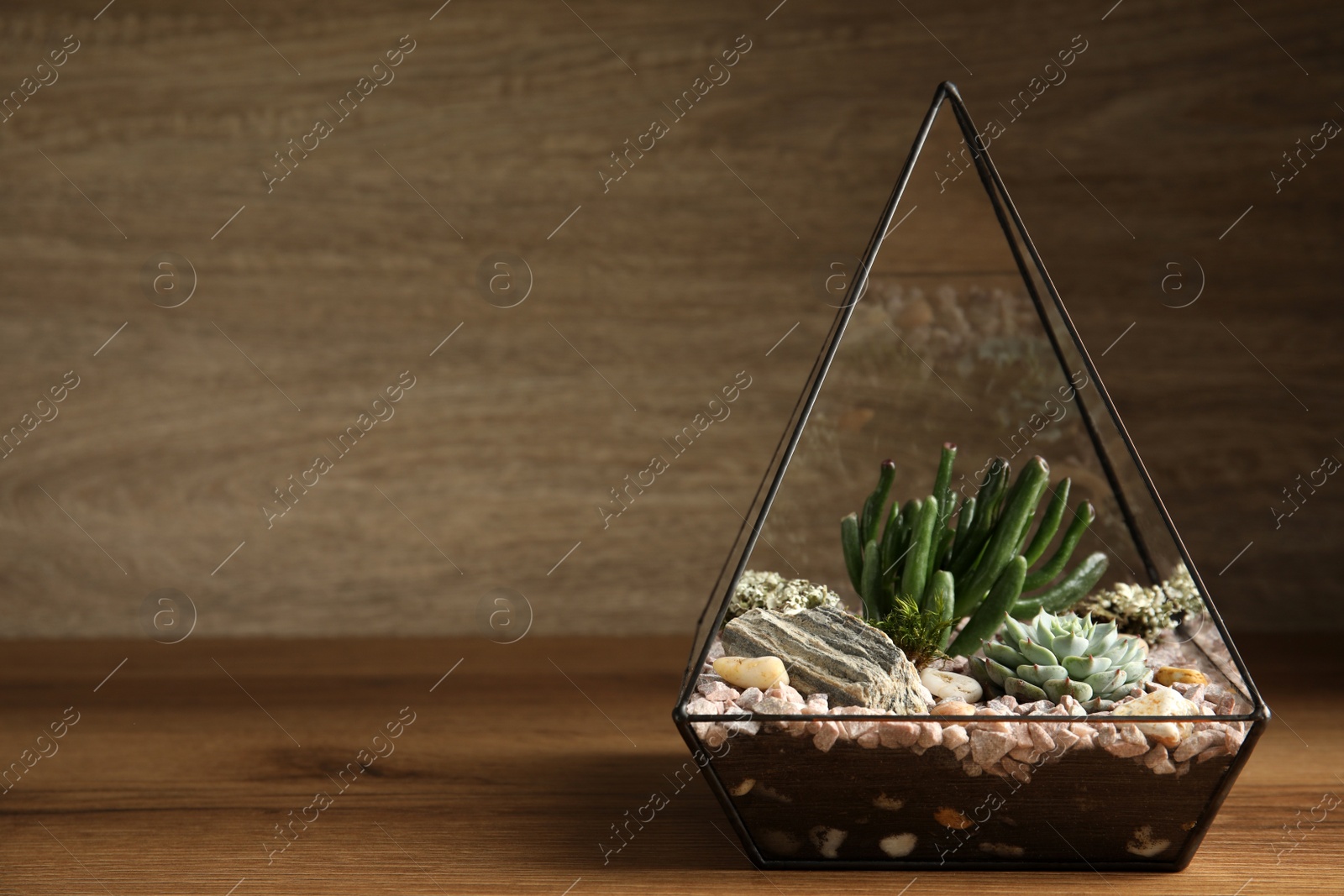 Photo of Glass florarium vase with succulents on wooden table, space for text