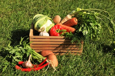 Photo of Different fresh ripe vegetables on green grass