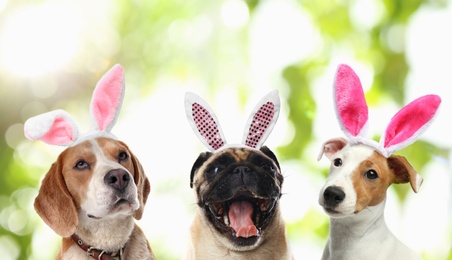 Image of Cute dogs with bunny ears headbands outdoors, collage. Happy Easter