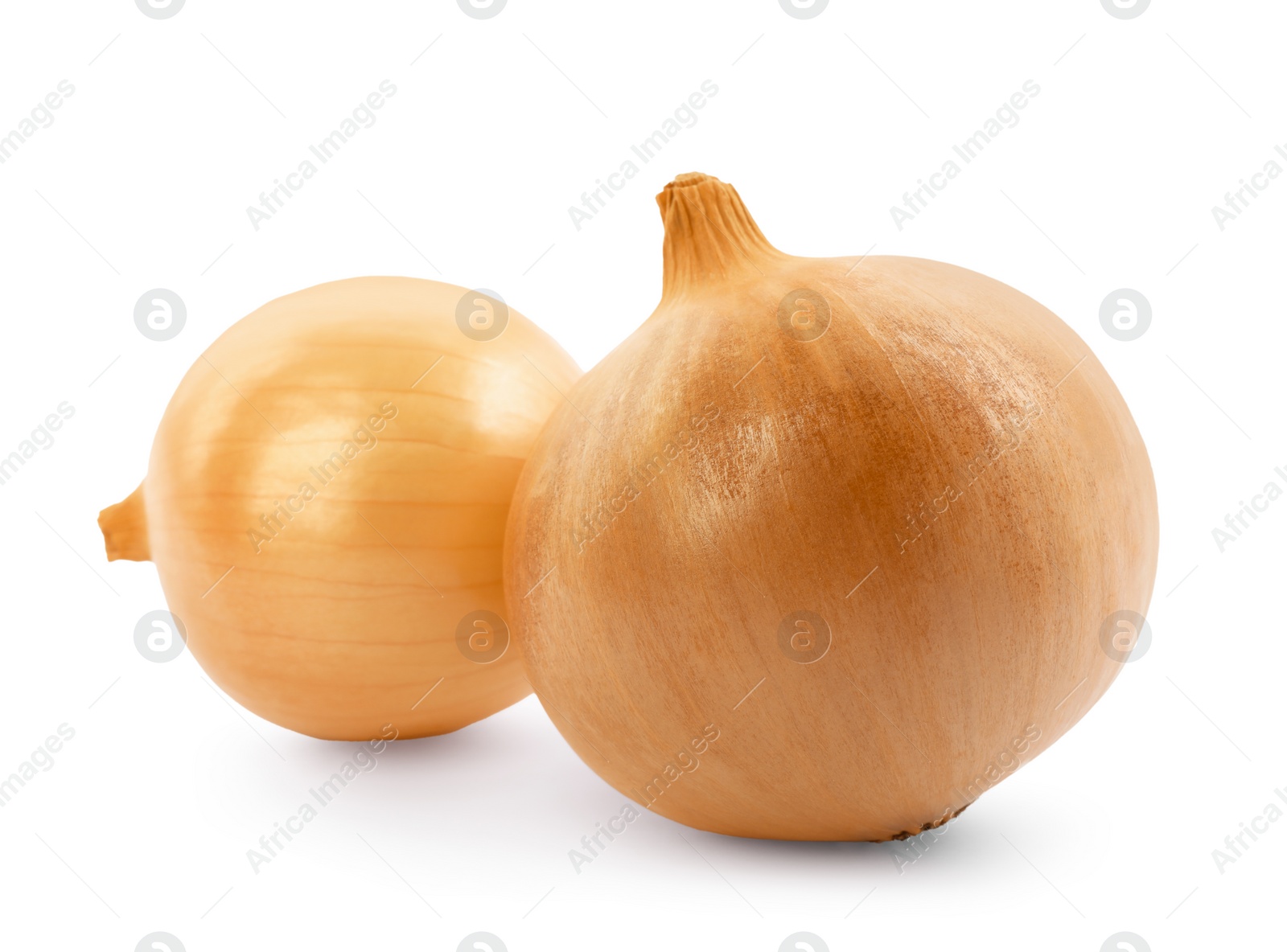 Photo of Two yellow fresh onions isolated on white