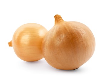 Two yellow fresh onions isolated on white