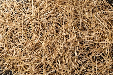 Photo of Pile of dried straw as background, top view