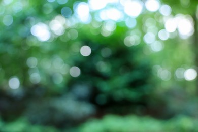 Photo of Blurred view of green trees in forest