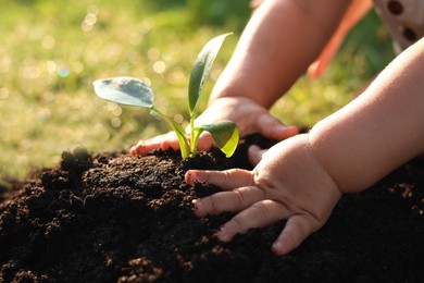 Photo of Child planting tree seedling into fertile soil, closeup